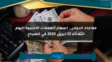 مفاجأة الدولار.. أسعار العملات الأجنبية اليوم الثلاثاء 22 أبريل 2025 في الصباح